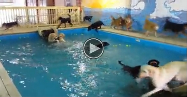 This Is The Coolest Pool Party Ever.