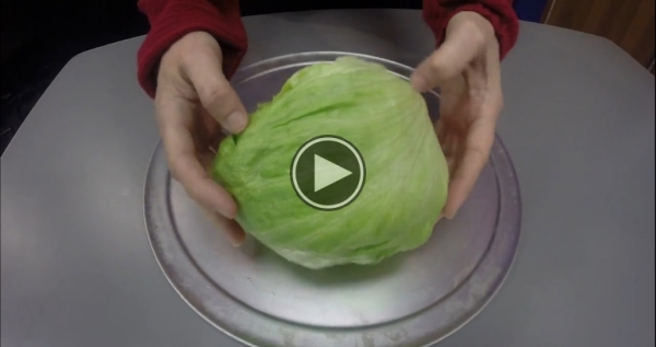 Core A Head Of Lettuce In 5 Seconds