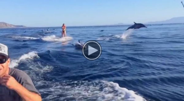 This Woman Was Wakeboarding. What Happens Next Is Amazing!