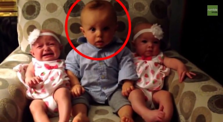 When He Sees Identical Twin Girls For The First Time This Toddler Cannot Believe His Eyes