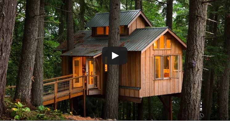 These People Grew Up, But They Never Left Their Tree Houses Behind